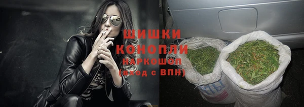 дживик Бронницы