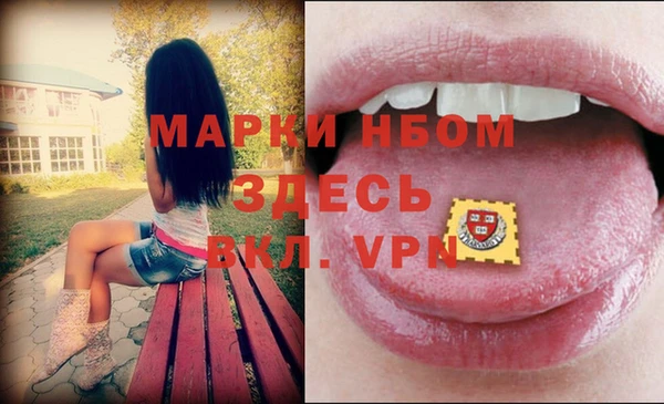дживик Бронницы
