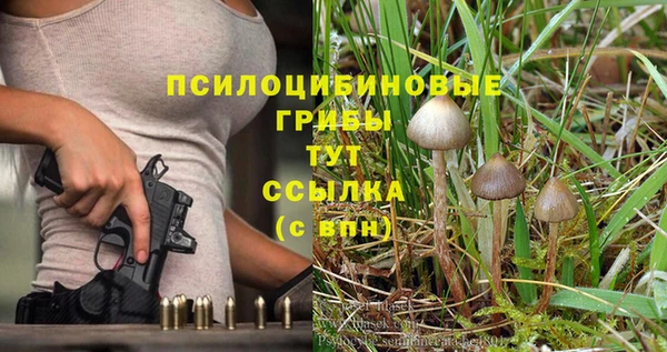 дживик Бронницы