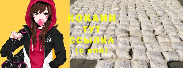 дживик Бронницы