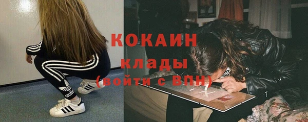 дживик Бронницы